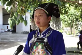 知心的话儿对党说丨听，这是屏边县各族儿女最深情的告白~图片