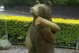二战时的一只狗熊，抽烟喝酒扛炮弹，最后终于变成了英雄图片