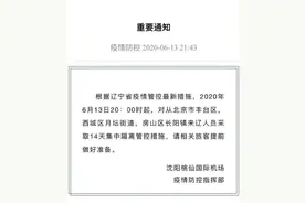 刚刚！沈阳桃仙机场发布重要通知图片