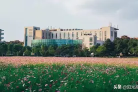 四川高考生被985、211大学录取难度分析（含最低分数线）图片