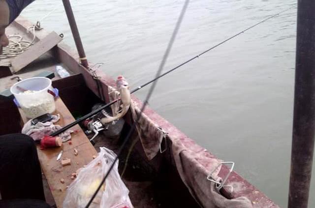 火腿肠也能钓鱼吗？用白酒、红糖、氨基酸水泡制后，有效果