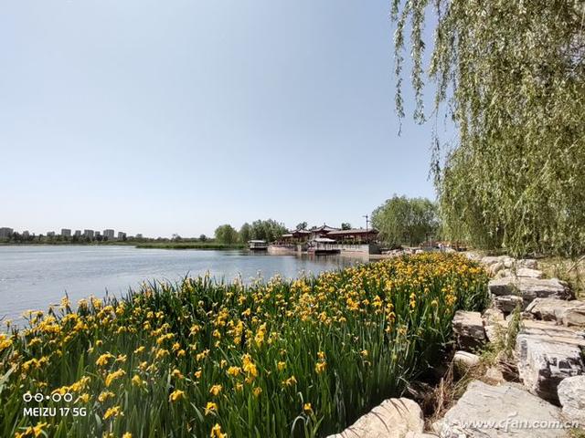 魅族 17评测：魅族的5G梦想从它开始