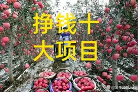 农村致富十个好项目，找项目的过来看！图片