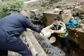 为民办实事，可以从这些本职工作做起！图片