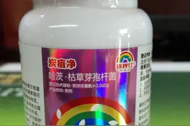 深度解析炭疽病，炭疽病轻松搞定图片