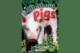 儿童绘本 All About Pigs图片