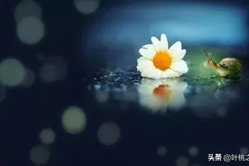 年过60以后才明白，有些人晚年凄凉，是有原因的图片