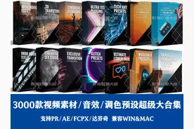 3000款+视频素材\转场\标题预设\音效\LUTS\大合集，都在这里了图片