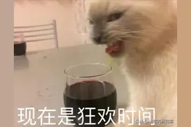 网友收到双十一快递之后的表现，哈哈哈是谁在偷窥我图片
