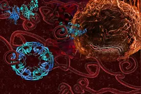 非洲出现神秘“疾病X”，新病原体频现，人类在地球不安全了？图片