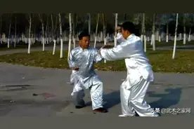 形意拳弹抖劲的穿透力和杀伤力、劲从足下生的秘密图片