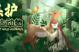 有奖问答 | 保护野生动物从“心”开始图片