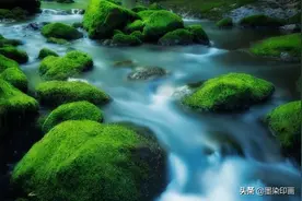 夏日“拍水大作战”，如何把水拍出“新花样”？6个思路与技巧图片