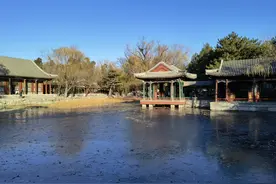 手机与相机实拍对比图片