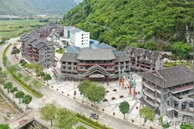 干货福利全都有，凌雲白毫春茶交易云展会精彩回顾！图片