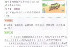 二年级看图写话专项训练10篇范例，让孩子多练习，关注我随时更新图片