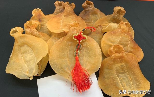 小土赤嘴鳘鱼胶 小赤嘴鳘鱼胶的功效