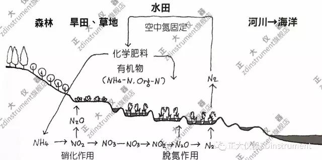 土壤中的氮循环