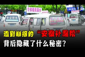 团体神秘组织？遭到举报的“安徽补漏帮”，为何还敢全国乱窜？图片