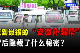 团体神秘组织？遭到举报的“安徽补漏帮”，为何还敢全国乱窜？图片