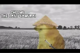 那只表情包里的废柴狗，如今是全世界肥宅的正义Doge图片