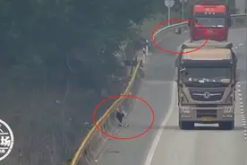 两头小羊误入高速，4男子车流中顺手牵羊，正偷着乐时民警找来了图片