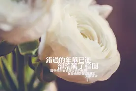 你以为的痴情，不过是心有不甘图片