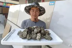 湛江海边水中牛奶之称生蚝，资源丰富，舌上的美食#生活日记#图片