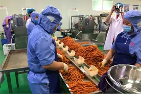 实拍辣条生产工厂，调味师100万元挖不走，“一盆油”是核心资源图片