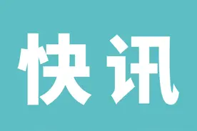 3月1日中药材市场快讯：八角茴香、山茱萸、南苍术、连翘等图片