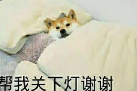 打扑克嘛？Python教你“经典纸牌游戏21点”玩法图片