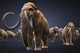 7000万年前化石中疑现“恐龙DNA”，恐龙真的能够复活吗？图片