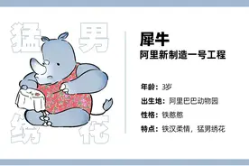 阿里秘密打造3年的新业务亮相！这是今年互联网最大创新图片