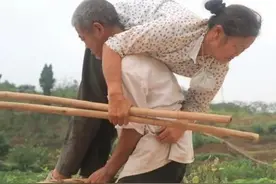 王老汉的故事图片