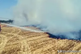 多地却发生了麦田火灾，高温收获季节需警惕，多数是灌溉用电所致图片