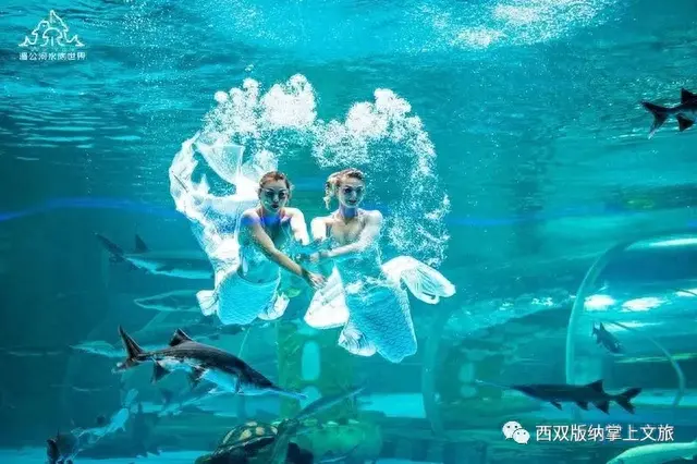 懒腰app逾期，森林公园湄公河水底世界门票多少价钱 配图10