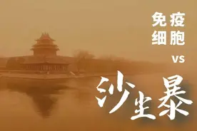 又双叒叕见沙尘暴，免疫细胞挡得住PM2.5么？图片