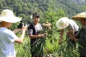 在农村有1万块钱本金，投资什么可以做到日收入300元？图片