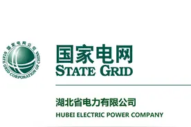 国网湖北省电力有限公司市场化单位专业人才招聘公告图片