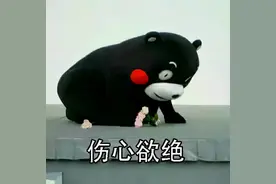 轻信网络投巨资，竹篮打水梦成空图片