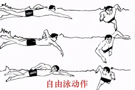 游泳的好处及弊端图片