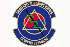 美国空军各类标识：空军第七军图片