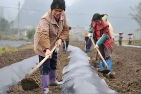 不要小看已婚乡村妇女，面对轻浮的男人，见招拆招，智斗骚扰图片