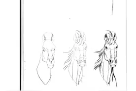 50个马画法图片