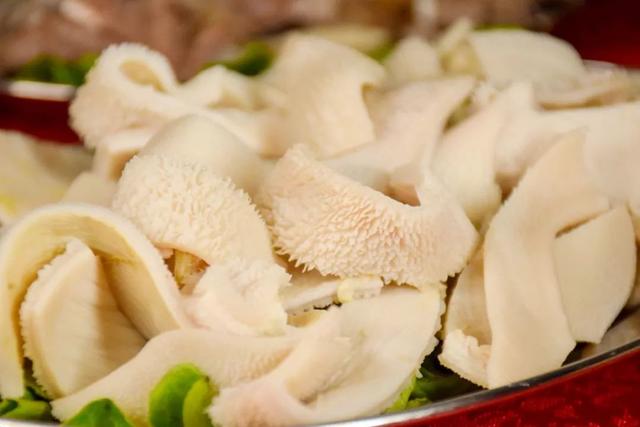 花胶可以煲羊肉吗 2026年花胶可以炖羊肉吗