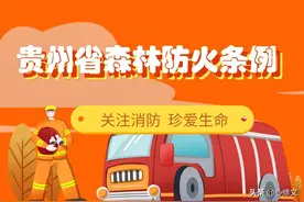 「消防安全」贵州省森林防火条例图片