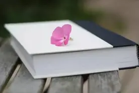 组织同学聚会的人，往往是以下几种人图片