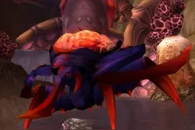 魔兽世界怀旧服：多彩长靴和粘液长靴相比，选择哪个更加合适呢？图片