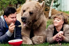 28年前，俄罗斯夫妇收养了一只小棕熊，如今他们活成了幸福一家人图片