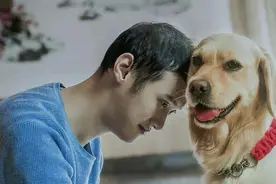 视频｜都市“新物种”④宠物摄影师 用镜头捕捉萌宠“高光”瞬间图片